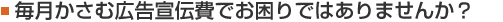 毎月かさむ広告費でお困りではありませんか
